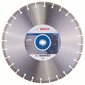 Teemantketas Bosch Standard for Stone 400 x 25,4mm цена и информация | Käsitööriistad | kaup24.ee