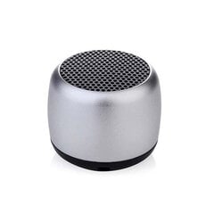 Pairble Mini kõlar Metal Bass Bluetooth Subwoofer Kaasaskantav kõlar Juhtmevaba valjuhääldi hind ja info | Autokõlarid | kaup24.ee