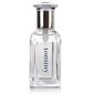 Tualettvesi Tommy Hilfiger Tommy EDT meestele 30 ml цена и информация | Meeste parfüümid | kaup24.ee