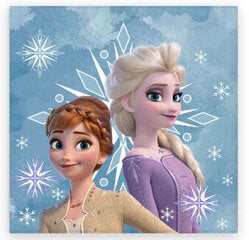 Laste rätik Disney Frozen Snowflake 30x30cm hind ja info | Rätikud, saunalinad | kaup24.ee