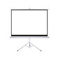 Projektori ekraan alusega Šilelis ET-2, diagonaal 287 cm цена и информация | Projektori ekraanid | kaup24.ee