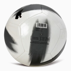 Футбольный мяч Puma Care Ball White Black 084346 03, 4 размер цена и информация | Футбольные мячи | kaup24.ee