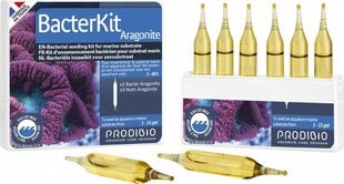 Bakterid Prodibio Bacter Kit Aragonite, 6 tk. hind ja info | Akvaariumid ja seadmed | kaup24.ee