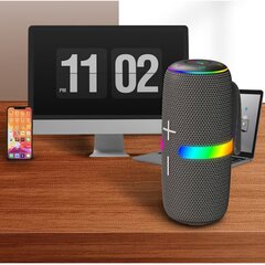 Juhtmeta kõlar Newmine N511 78MM RGB 24H tf 4500mah AUX USB ipx5 Bluetooth5.2 30W hind ja info | Kõlarid | kaup24.ee