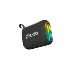 Juhtmeta kõlar Ohayo S5 3600Mah Bluetooth5.3 10W TF AUX TWS TYPE-C 3H RGB 50MM IPX7 HIFI hind ja info | Kõlarid | kaup24.ee