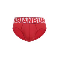 Мужское нижнее белье Asianbum U520385 краткий Хлопок цена и информация | Мужские трусы | kaup24.ee