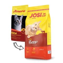 JosiCat с вкусной говядиной Tasty Beef, 10 кг цена и информация | Сухой корм для кошек | kaup24.ee