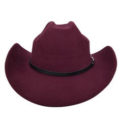 Talvine sügise vintage lääne kauboi müts meestele, 8 cm laia äärega härrasmeeste džäss Cowgirl mütsid Sombrero hombre mütsid hind ja info | Meeste sallid, mütsid ja kindad | kaup24.ee