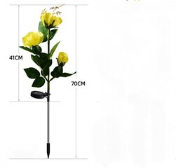 Päikeseenergia aiavalgustid välitingimustes, päikeseenergial töötav aed цена и информация | Гирлянды | kaup24.ee