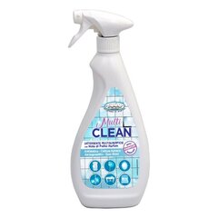 Hygienfresh®Multi Clean 750 ml. Puhastusvahend peeglitele ja kristallile цена и информация | Очистители | kaup24.ee