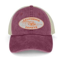 California Zephyr Cowboy Hat mood Cosplay Man Cap Naiste hind ja info | Meeste sallid, mütsid ja kindad | kaup24.ee