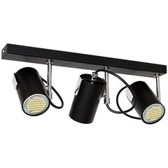 Luminex потолочный светильник Noel цена и информация | Потолочные светильники | kaup24.ee