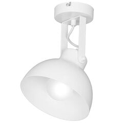 Luminex потолочный светильник Einar цена и информация | Потолочные светильники | kaup24.ee