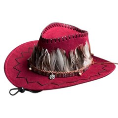 Reisikauboi mütsid Cowboy mütsid sulgedest mütsipael Western peomütsid Cowboy Cosplay hind ja info | Meeste sallid, mütsid ja kindad | kaup24.ee