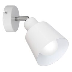 Luminex потолочный светильник Runar цена и информация | Потолочные светильники | kaup24.ee