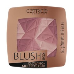 Румяна "CATRICE Glowing + Multicolour" 020 цена и информация | Бронзеры (бронзаторы), румяна | kaup24.ee