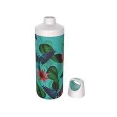 Termospudel Kambukka Reno Insulated 500 ml Parrots KAM11-05004 цена и информация | Термосы, термокружки | kaup24.ee