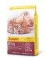 Kuivtoit kassipoegadele Josera Kitten, 2 kg hind ja info | Kuivtoit kassidele | kaup24.ee