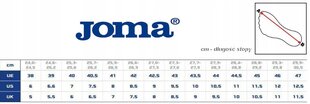 JOMA POWERUL POWS2401FG jalgpallijalatsid jalgpallijalatsid 41 hind ja info | Jalgpallijalatsid | kaup24.ee