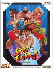 Pixel Frames Street Fighter World Warriors hind ja info | Fännitooted mänguritele | kaup24.ee