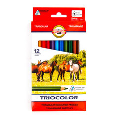 Värvipliiatsite K-T Triocolor, 12 tk Jäme 3142 hind ja info | Kunstitarbed, voolimise tarvikud | kaup24.ee