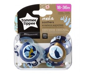 Пустышка Tommee Tippee Moda, для мальчика 18 - 36 месяцев, 2 шт, 43343841 цена и информация | Пустышки | kaup24.ee