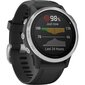 GPS-spordikell Garmin fēnix 6s, hõbedane/must : 010-02159-01 hind ja info | Nutikellad (smartwatch) | kaup24.ee
