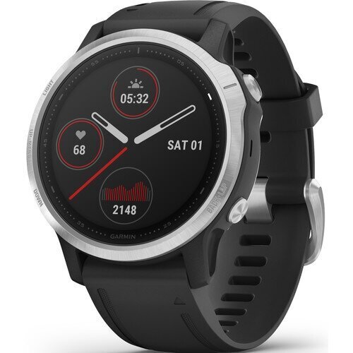 GPS-spordikell Garmin fēnix 6s, hõbedane/must : 010-02159-01 hind ja info | Nutikellad (smartwatch) | kaup24.ee