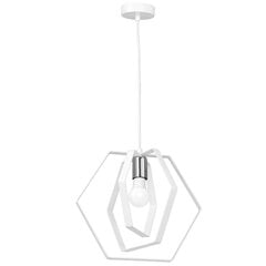 Luminex подвесной светильник Hexagon  цена и информация | Люстры | kaup24.ee