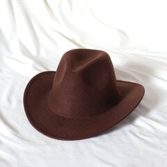 Fedora ühevärviline kauboimüts Rulläärega Kleepuv müts Sügis- ja talvemüts naistele Meeste välisjazzmüts Western Cowboy Hat цена и информация | Мужские шарфы, шапки, перчатки | kaup24.ee