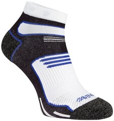 Meeste spordisokid Avento, 2 tk, white/cobalt blue цена и информация | Мужские носки | kaup24.ee