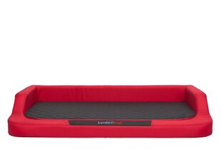 Hobbydog лежак Medico Standard XXL, 120x80 см, красного/черного цвета цена и информация | Лежаки, домики | kaup24.ee