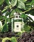 Kölnivesi Jo Malone BlackBerry & Bay EDC naistele 30 ml hind ja info | Naiste parfüümid | kaup24.ee