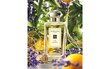 Kölnivesi Jo Malone 154 EDC naistele/meestele30 ml цена и информация | Naiste parfüümid | kaup24.ee