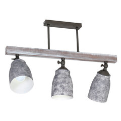 Luminex потолочный светильник Agap цена и информация | Потолочный светильник, 38 x 38 x 24 см | kaup24.ee