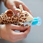 Lutt plüüsist mänguasjaga Philips Avent "Ultra soft", 0-6 kuud., SCF348/11 hind ja info | Lutid | kaup24.ee