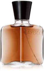 Туалетная вода Роберто Capucci L'Homme Suave EDP для мужчин 100 мл цена и информация | Мужские духи | kaup24.ee