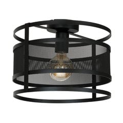 Luminex потолочный светильник Rim цена и информация | Потолочные светильники | kaup24.ee