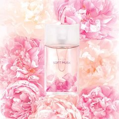 Туалетная вода AVON Soft Musk для женщин с цветочно-фруктовым ароматом, 50мл цена и информация | Женские духи | kaup24.ee