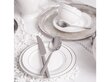 Desserttaldrik Ambition Aura Silver, 16.5 cm hind ja info | Lauanõud ja kööginõud | kaup24.ee
