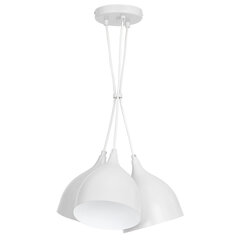 Luminex подвесной светильник Noak цена и информация | Потолочный светильник, 38 x 38 x 24 см | kaup24.ee