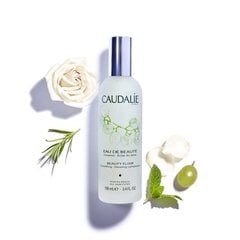 Näosprei eliksiir Caudalie 100 ml hind ja info | Näopuhastusvahendid | kaup24.ee