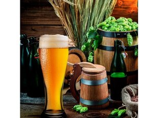 Pasabahce õlleklaas Weizenbeer and Pils, 665 ml цена и информация | Стаканы, фужеры, кувшины | kaup24.ee