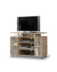 TV-laud Forte RTV Rack RAT338-D30, pruuni värvi цена и информация | Тумбы под телевизор | kaup24.ee