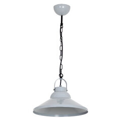 Luminex подвесной светильник Iron  цена и информация | Люстры | kaup24.ee