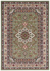 Vaip Nouristan Mirkan Parun Tabriz 200x290 cm, roheline hind ja info | Vaibad | kaup24.ee