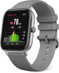 Amazfit GTS Lava Gray цена и информация | Смарт-часы (smartwatch) | kaup24.ee
