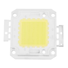 50 W LED-draiver veekindel IP67 toiteallika suure võimsusega adapter + 50 W LED-kiibiga pirn Energiasäästufo hind ja info | Lisatarvikud korpustele | kaup24.ee