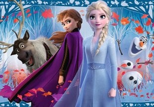 Pusle Ravensburger Lumekuninganna 2 (Frozen 2) Teekond tundmatusse, 2x12-osa, 5009 цена и информация | Пазлы | kaup24.ee