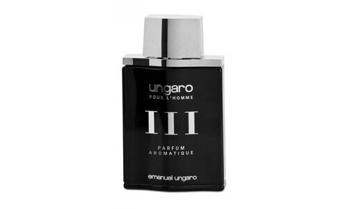 Tualettvesi meestele Emanuel Ungaro pour l'Homme III Parfum Aromatique EDT 100 ml цена и информация | Meeste parfüümid | kaup24.ee